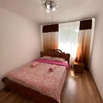 карпатський затишок Villa *