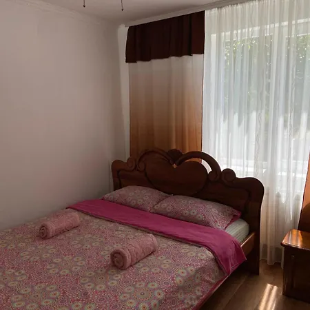 Villa карпатський затишок *