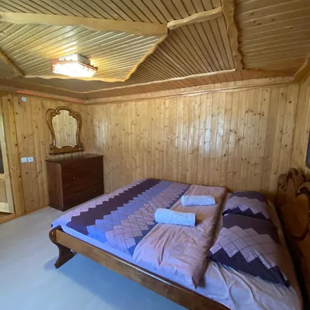 карпатський затишок Villa