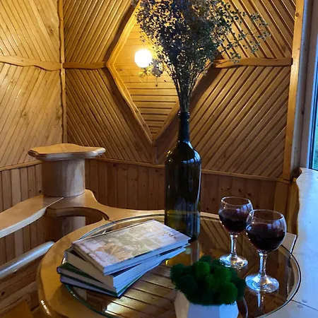 карпатський затишок Villa