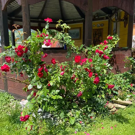 карпатський затишок * 韦尔霍维纳