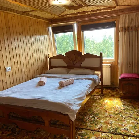 Карпатський Затишок Villa
