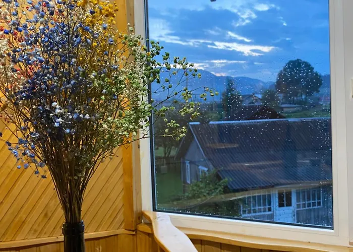 别墅 карпатський затишок 韦尔霍维纳