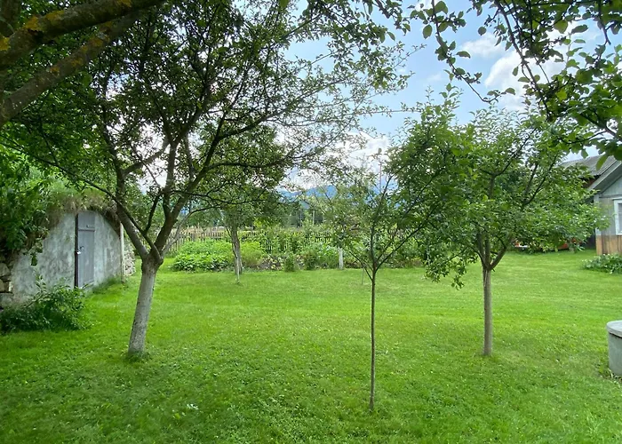 карпатський затишок 别墅 韦尔霍维纳