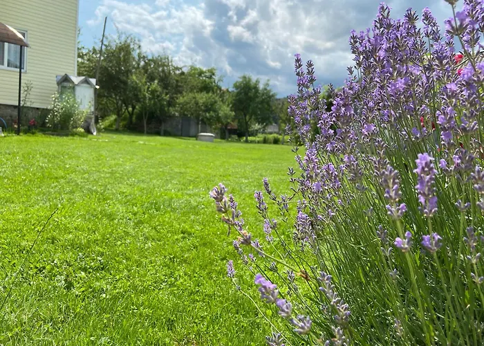 别墅 карпатський затишок *