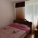 Vila карпатський затишок *