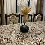 Vila карпатський затишок *