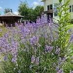 Vila карпатський затишок Verchovyna