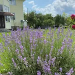 Vila карпатський затишок *