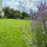 Vila карпатський затишок *