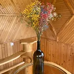 Vila карпатський затишок *