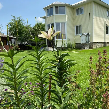Vila карпатський затишок Verchovyna