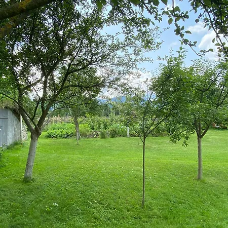 карпатський затишок Vila Verchovyna
